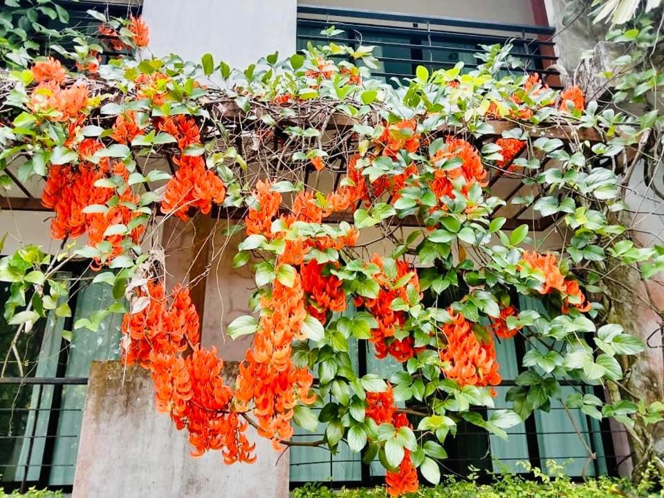 Wassana Sitdharma Guesthouse Trang Bagian luar foto