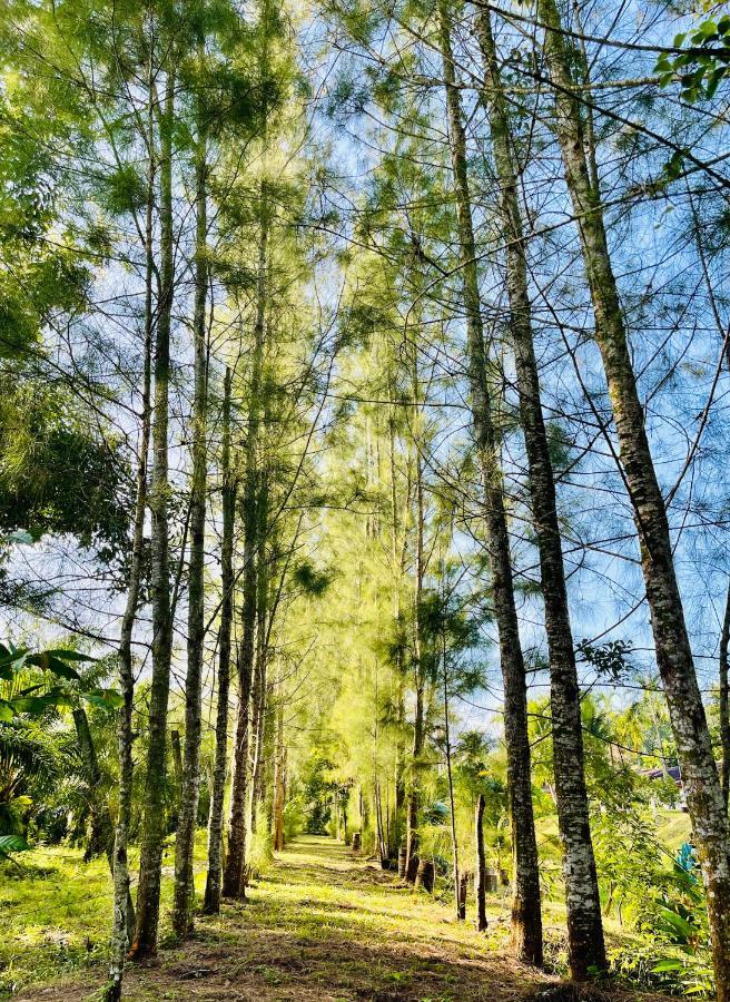 Wassana Sitdharma Guesthouse Trang Bagian luar foto