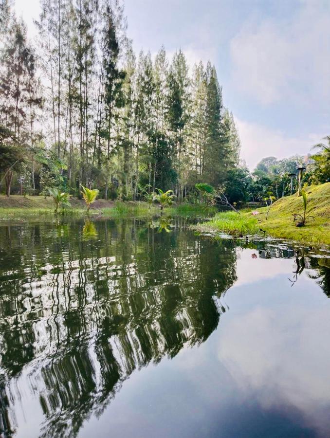 Wassana Sitdharma Guesthouse Trang Bagian luar foto