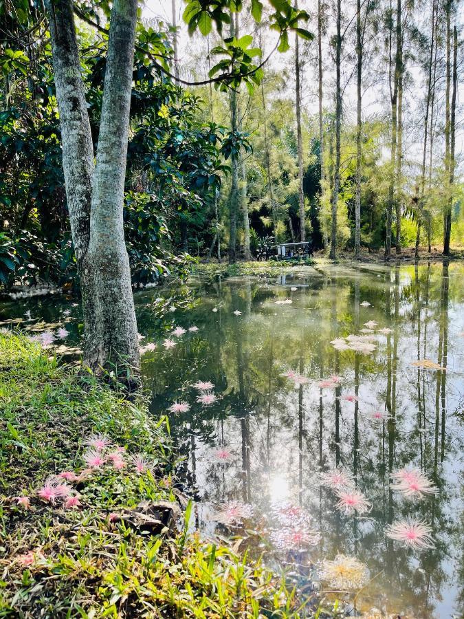 Wassana Sitdharma Guesthouse Trang Bagian luar foto